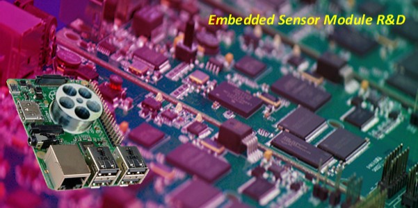 Embedded Module R&D