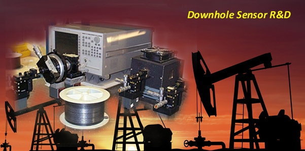 Downhole Sensor R&D